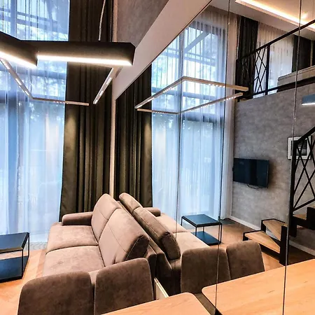 Revisit Amber * 斯蒂格纳