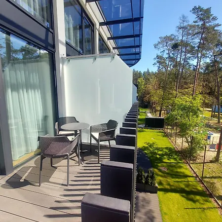 Revisit Amber 斯蒂格纳