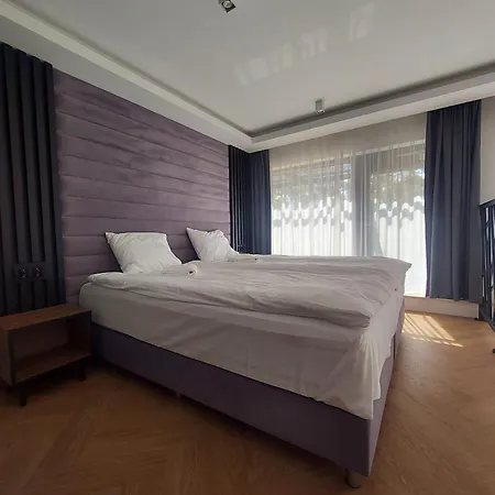 Revisit Amber 斯蒂格纳