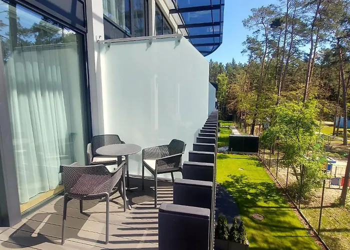 Revisit Amber 스테그나