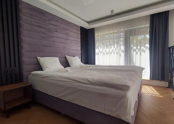 Revisit Amber 스테그나